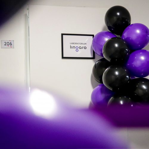 balony i tabliczka do sali "laboratorium lingaro"